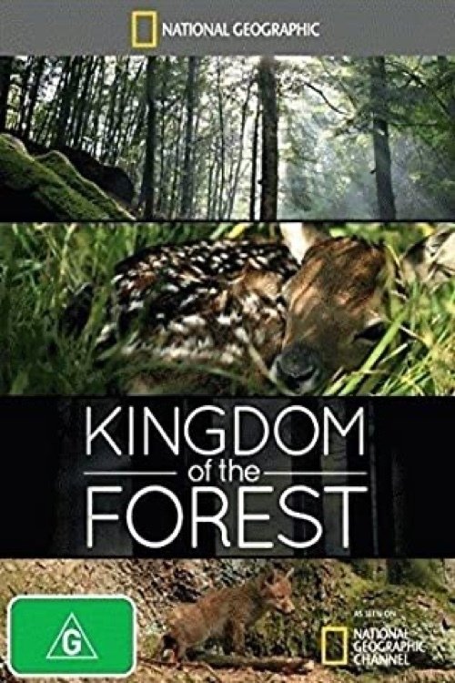 Постер Kingdom of the Forest